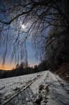 Filename=DSC_0018~0.jpg
Filesize=376KB
Dimensions=598x900
Date added=Jan 02, 2015 DSC_0018~0.jpg