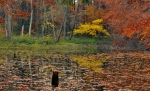 Filename=DSC_0083~0.JPG
Filesize=405KB
Dimensions=1024x626
Date added=Oct 30, 2011 DSC_0083~0.JPG