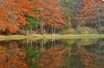 Filename=DSC_0089~0.JPG
Filesize=330KB
Dimensions=1024x672
Date added=Oct 30, 2011 DSC_0089~0.JPG