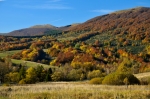 Filename=DSC_0152~0.JPG
Filesize=691KB
Dimensions=1024x680
Date added=Oct 21, 2012 DSC_0152~0.JPG