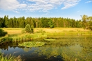 Filename=image001~0.jpg
Filesize=894KB
Dimensions=1200x801
Date added=Aug 11, 2019 image001~0.jpg