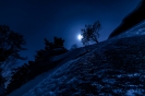 Filename=ph_001~0.jpg
Filesize=631KB
Dimensions=1200x800
Date added=Mar 10, 2019 ph_001~0.jpg