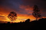Filename=pict033~0.JPG
Filesize=234KB
Dimensions=900x602
Date added=Mar 30, 2009 pict033~0.JPG